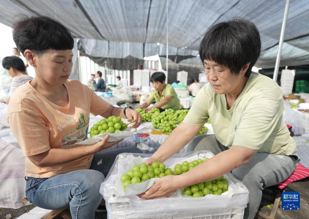 赠送彩金的游戏平台